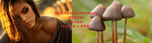 дживик Беломорск