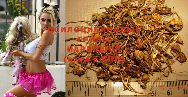 эйфоретик Белоозёрский