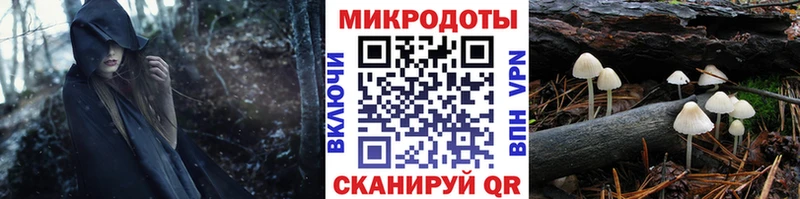 Псилоцибиновые грибы MAGIC MUSHROOMS  закладка  Володарск 
